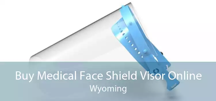 Buy Medical Face Shield Visor Online Wyoming
